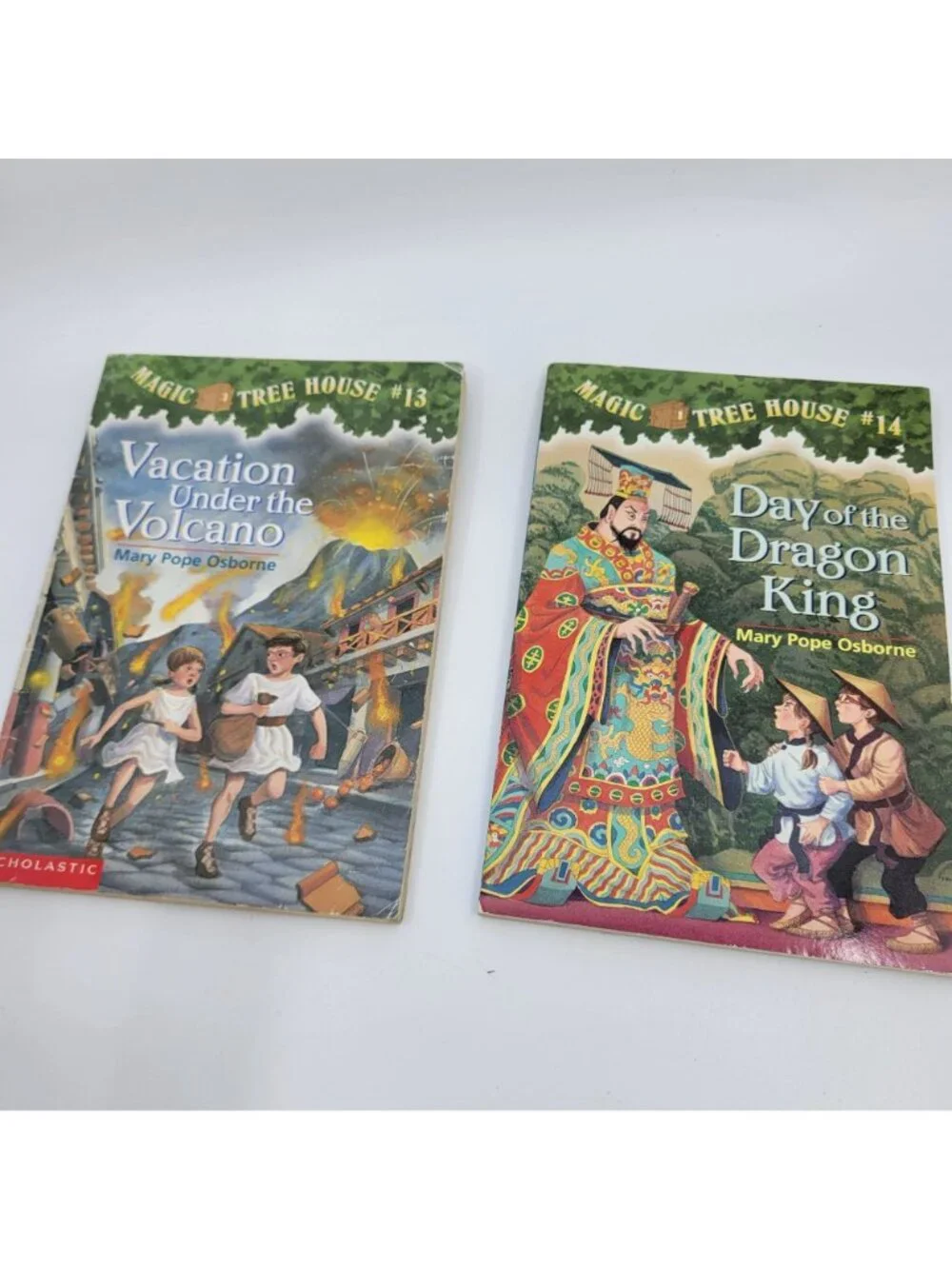Scholastic magic tree